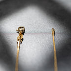 Anhänger mit einer Iris